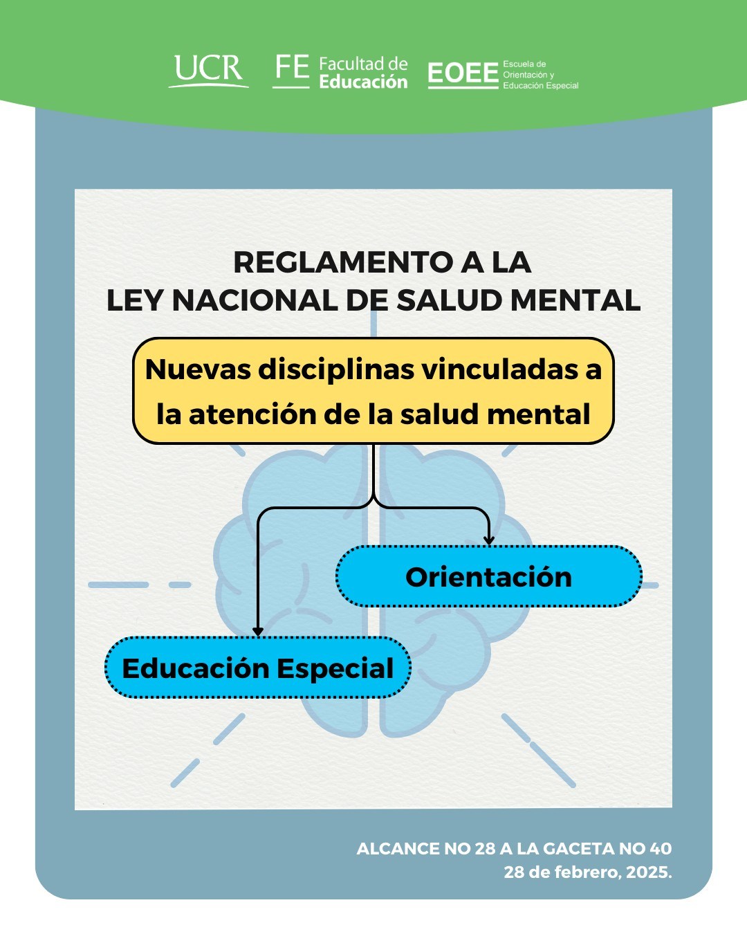 Afiche con título de la publicación, imagen de fondo de un cerebro y rótulos de orientación y educación especial