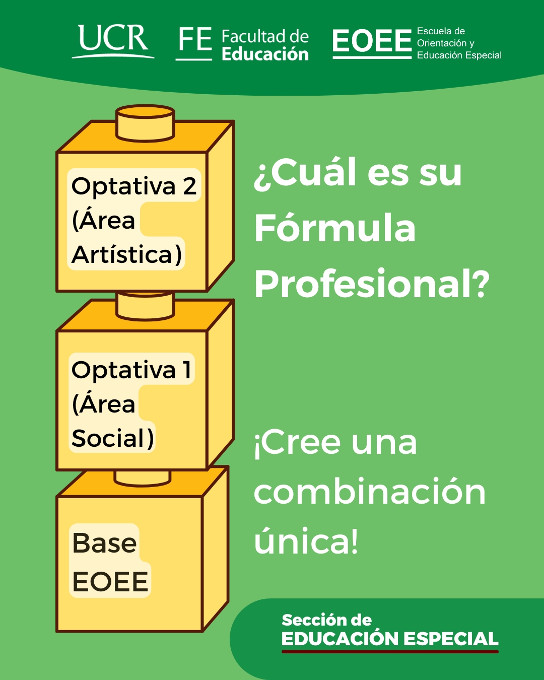 Imagen con bloques de opciones de cursos y texto igual al de la publicación. 